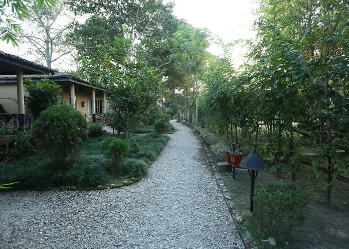 Jungle Villa Resort - Near Chitwan National Park