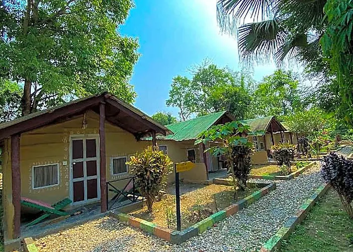 Nature Safari Camp